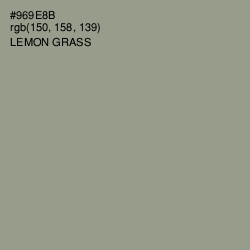 #969E8B - Lemon Grass Color Image